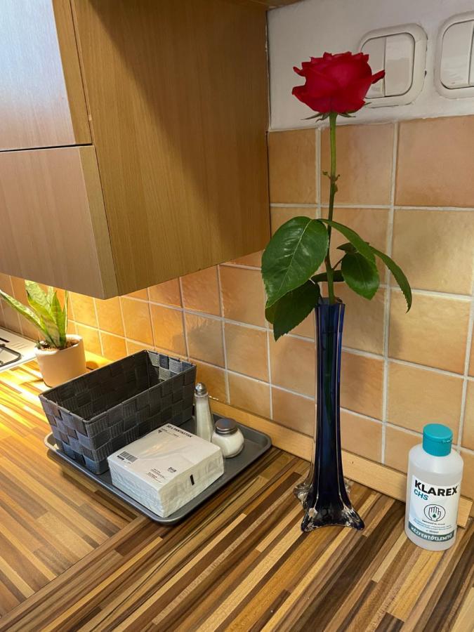 Magnolia Apartman Gyor Bagian luar foto